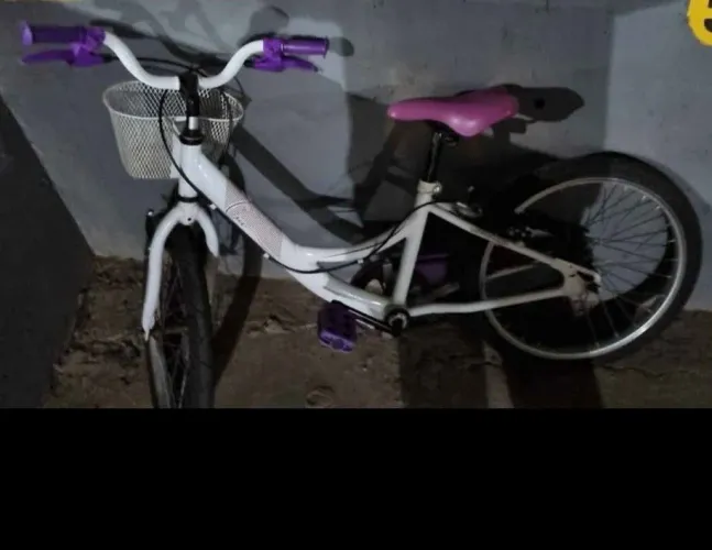 Bicicleta infantil aro 20
