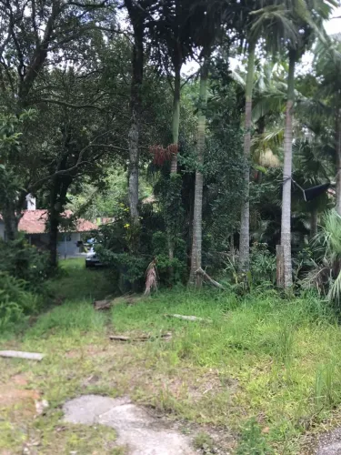 IMÓVEL+TERRENO 6000M2