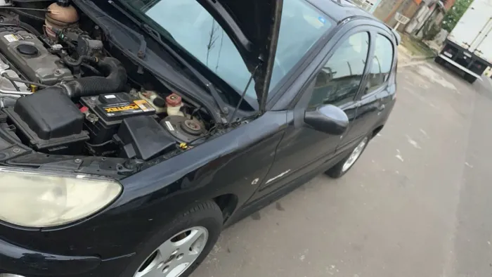 Peugeot 206 Moonlight 1.4 Flex 8V 3P 2008