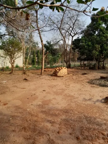 Terreno Padrão em São José do Rio Preto