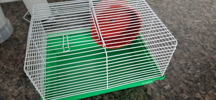 Casinha/Gaiola Hamster