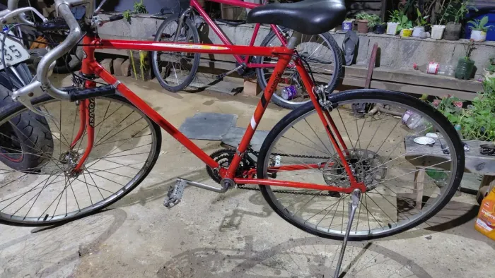 Bicicleta