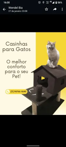 Casinhas de gato
