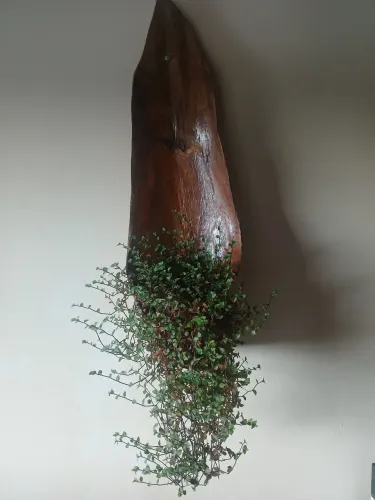 Suporte  para Vasos