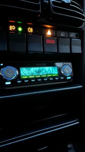 Pioneer premier golfinho 