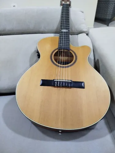 Violão Steinberg 