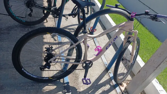 Bicicleta
