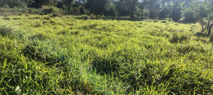 Chácara em Río Manso