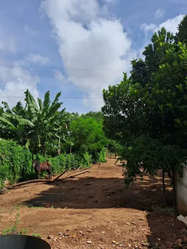 Imóvel para aluguel tem 340 metros quadrados com 2 quartos em Vila Irany - Goiânia - GO