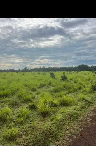 Fazenda em Santa Maria das Barreiras
