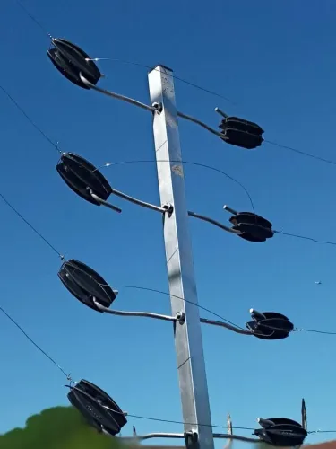 Cerca elétrica e concertina