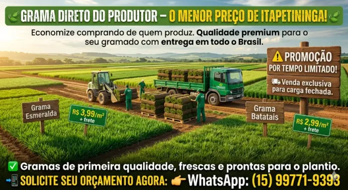 VENDA DE GRAMA - QUALIDADE GARANTIDA