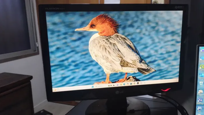 Monitor LG 20" + impressora HP