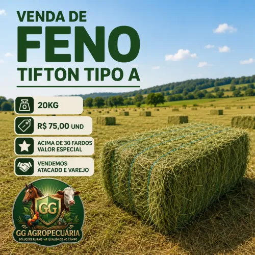 Fardo Feno Tifton tipo A 20kg 
