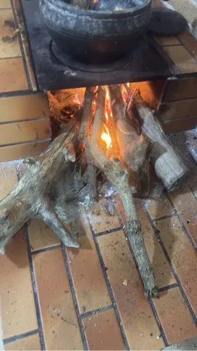 Alugo fazendinha 