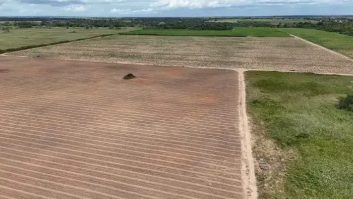 fazenda com 42 hectares na região de Macaíba terra desmatada