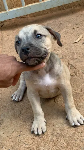 Pit monster