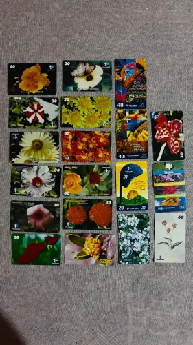 Lote 22 Cartões Telefônicos Flora Cearense Raros - Série Flores Telemar 60 + CTBC Antigo -