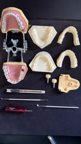 Manequim MOM dentística + Acessórios