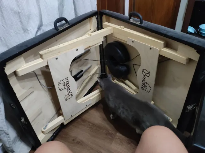 Maca portátil 