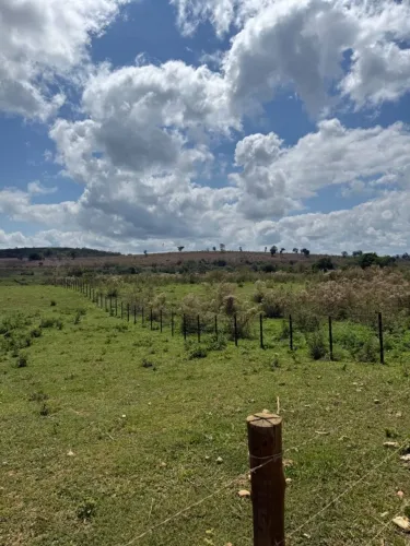 Fazenda no Revés do Belém/MG - 338ha