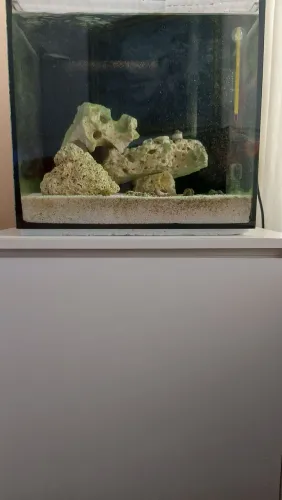 Aquario Marinho 70 litros!