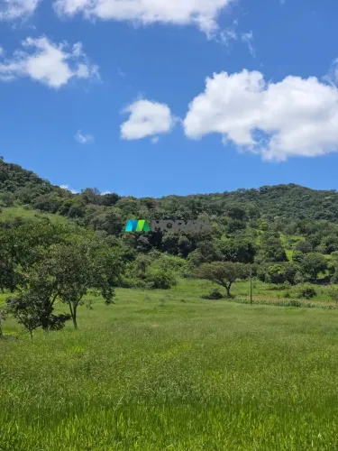 FAZENDA À VENDA - 63 HECTARES - PIRACEMA (MG)
