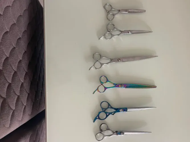 Tesouras de tosa pet