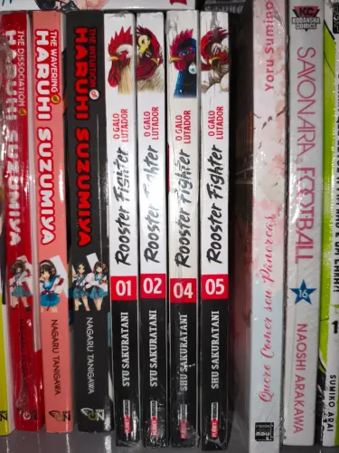 Manga Rooster Fighter coleção