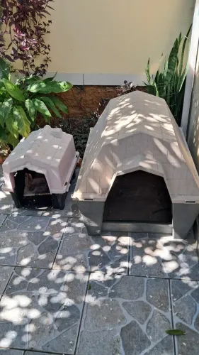 Casa de cães