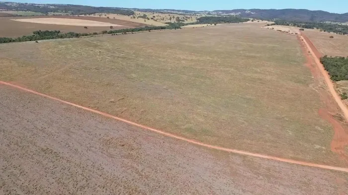 Fazenda a venda em Piracanjuba - Goiás!!!