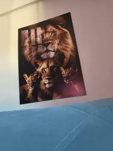 (não é o quadro)Estou doando bolsas de colostomia leia o anúncio 