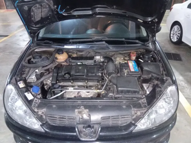 Peugeot 206 SW Feline 1.6/ 1.6 Flex 16V 5P 2007