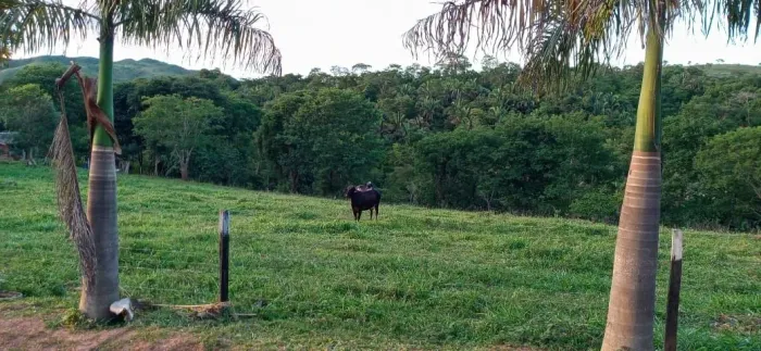 Vendo Fazenda 128 Alqueires Região Goiás próximo a Brasília DF 