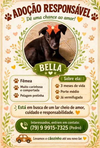 BELINHA  PRA DOAÇÃO 