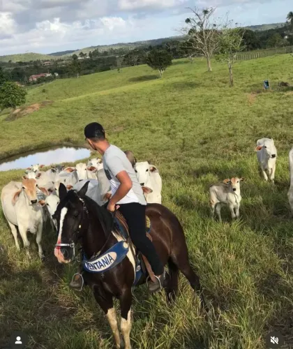 Vende-se Égua 