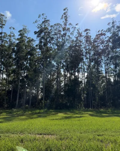Lote, 583 m² no Santa Bárbara Resort Residence em Águas de Santa Bárbara