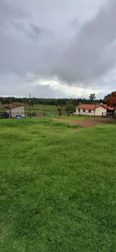 Fazenda de 18 alqueires em Novo Brasil-GO 