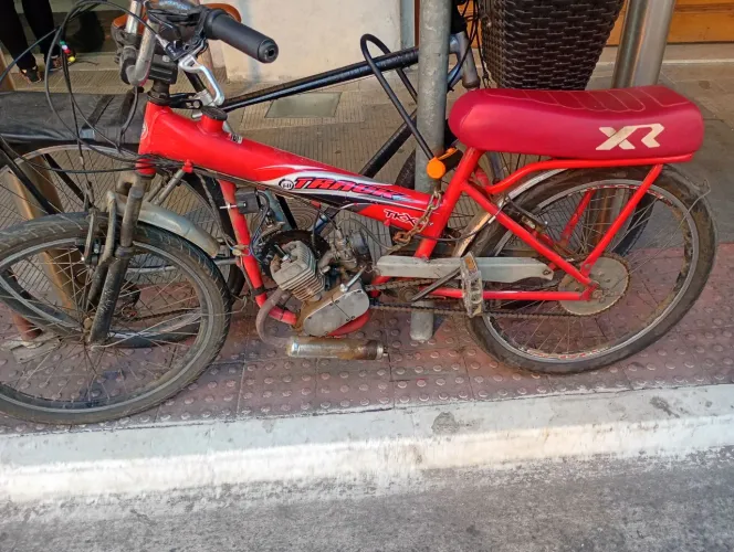 Vendo ou negócio em cavalos