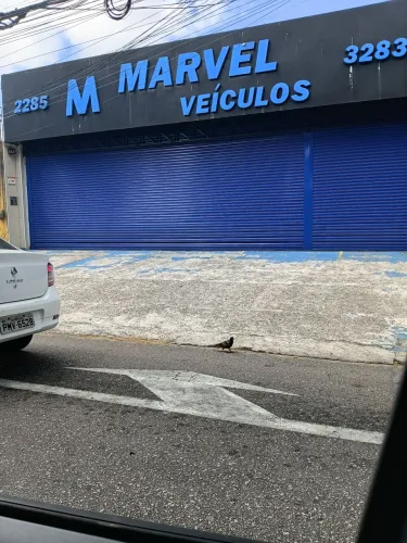 Portas automáticas de enrolar