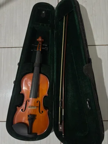 Violino parrot
