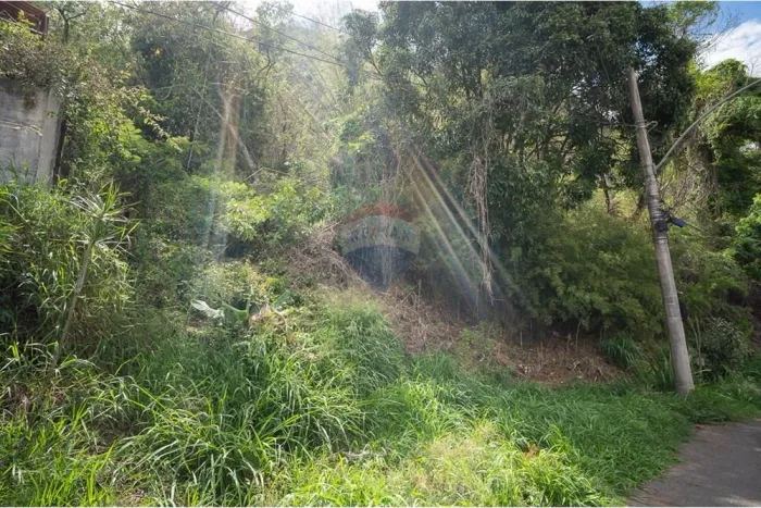 Terreno Paineiras
