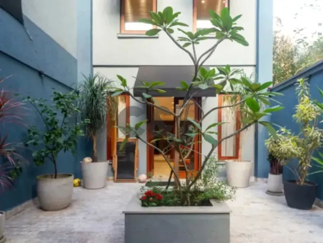 Sobrado Comercial/Residencial com 3 Dormitórios (1Suite) para Alugar em Moema - São Paulo/