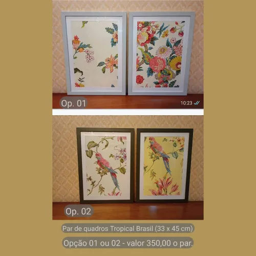 Par de Quadros Tropical Brasil (33x45cm)