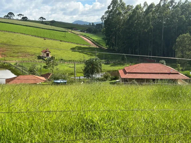 Fazenda em Santa Rita de Caldas - MG