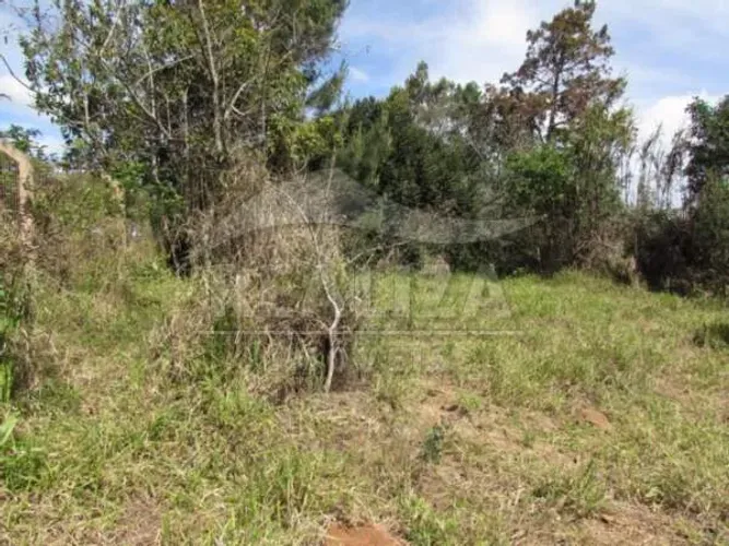 Terreno para aluguel, Águas Claras - Viamão/RS