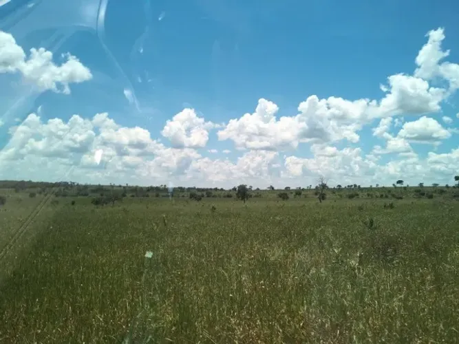 Fazenda de 117 Alq em Inocencia MS