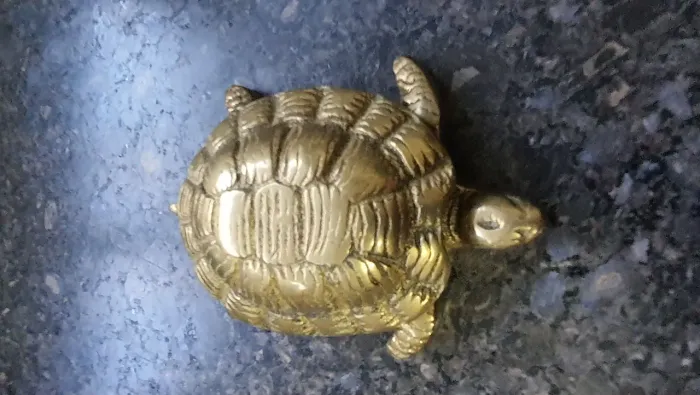 Retrô em bronze formato tartaruga