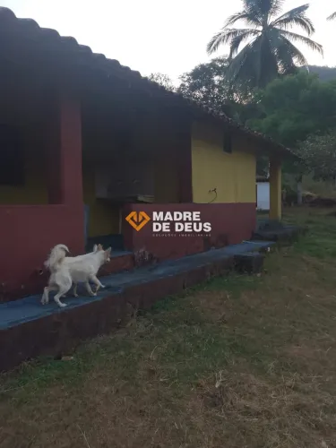 Sítio 13,86 Hectares na Estrada de Baturité - Paz, Tranquilidade e Excelente Investimento!