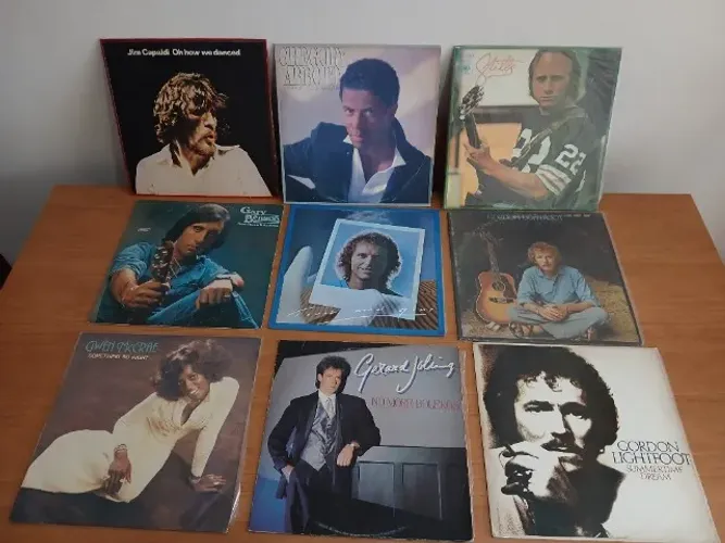 Lote de LPs Vinil variados IX